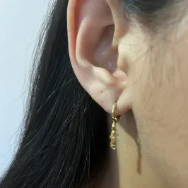 Brinco Argolinha Hook Cavalo Marinho