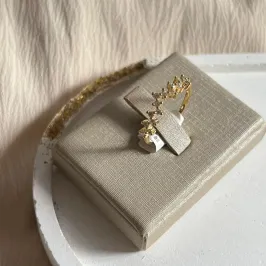 Anel ZigZag Zircônias