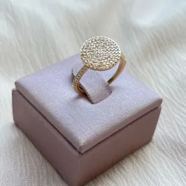 Anel Circulo Cravejado