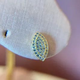 Brinco Oval Cravejado