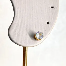 Brinco Ponto de Luz GG