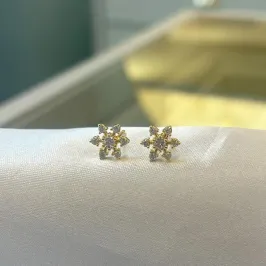 Brinco Estrelinha Cravejada