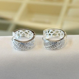 Brinco Argola Cravejada