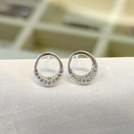 Brinco Círculo Liso e Cravejado