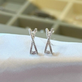 Brinco EarHook X