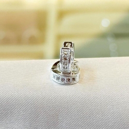 Brinco Argola Cravejada P