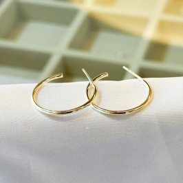 Brinco Argola Lisa P