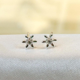 Brinco Estrelinha Pontinho no Centro