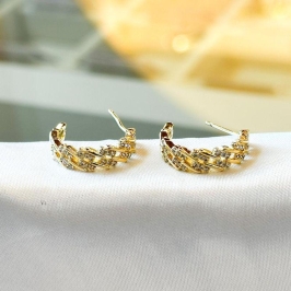 Brinco Argola Cravejada