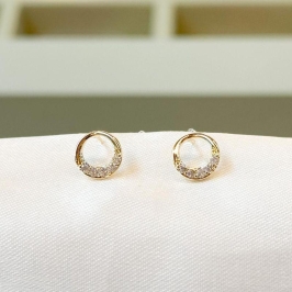 Brinco Círculo Metade Liso Cravejado