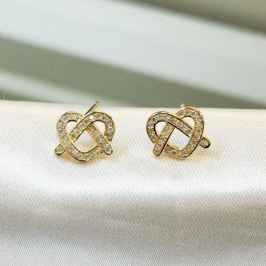 Brinco Entrelaçado Cravejado