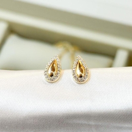 Brinco Gota Borda Cravejada