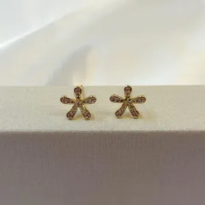 Brinco Flor Cravejada