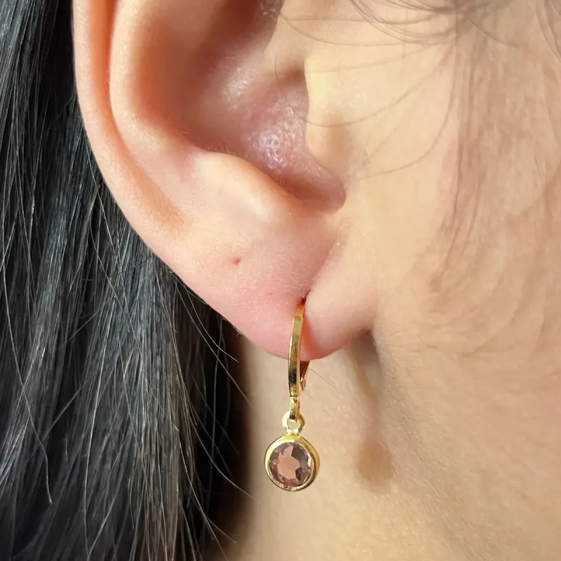 Brinco Hook Zirconia Rosa