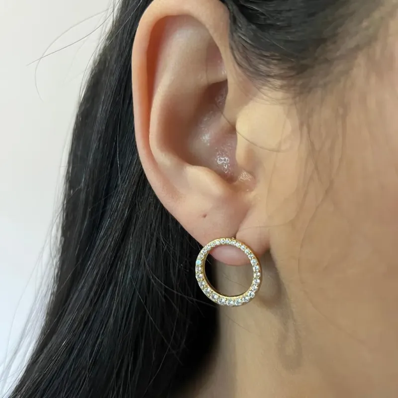 Brinco Circulo Zicônia