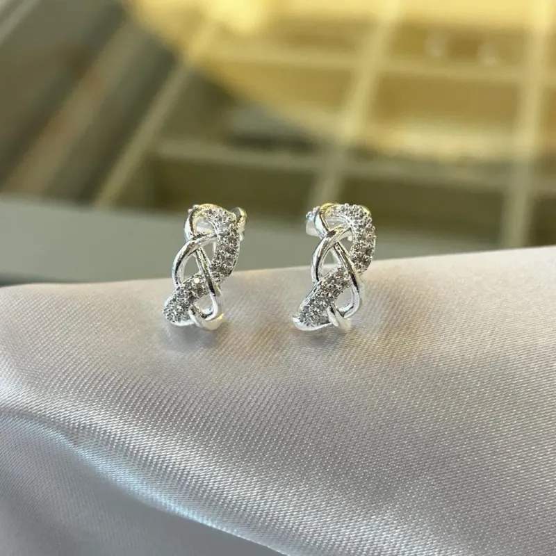 Brinco Argolinha Entrelaçada Cravejada