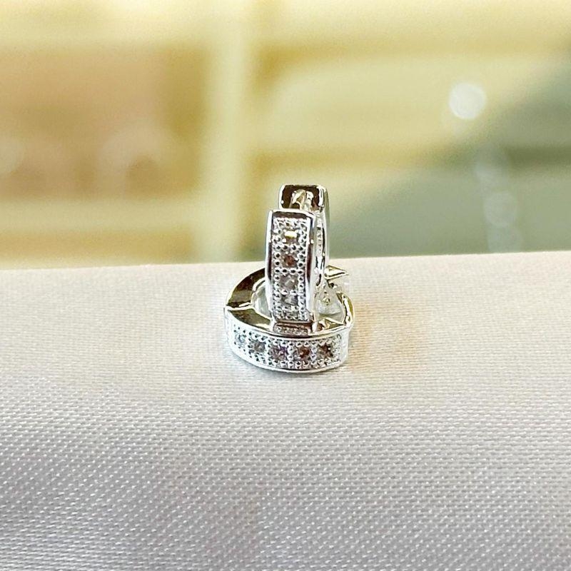 Brinco Argola Cravejada P