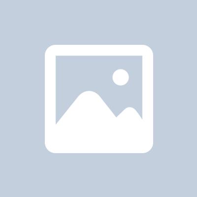 Brinco Argolinha Folhas Navetes