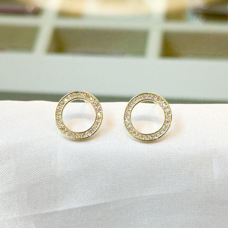 Brinco Círculo Cravejado Vazado